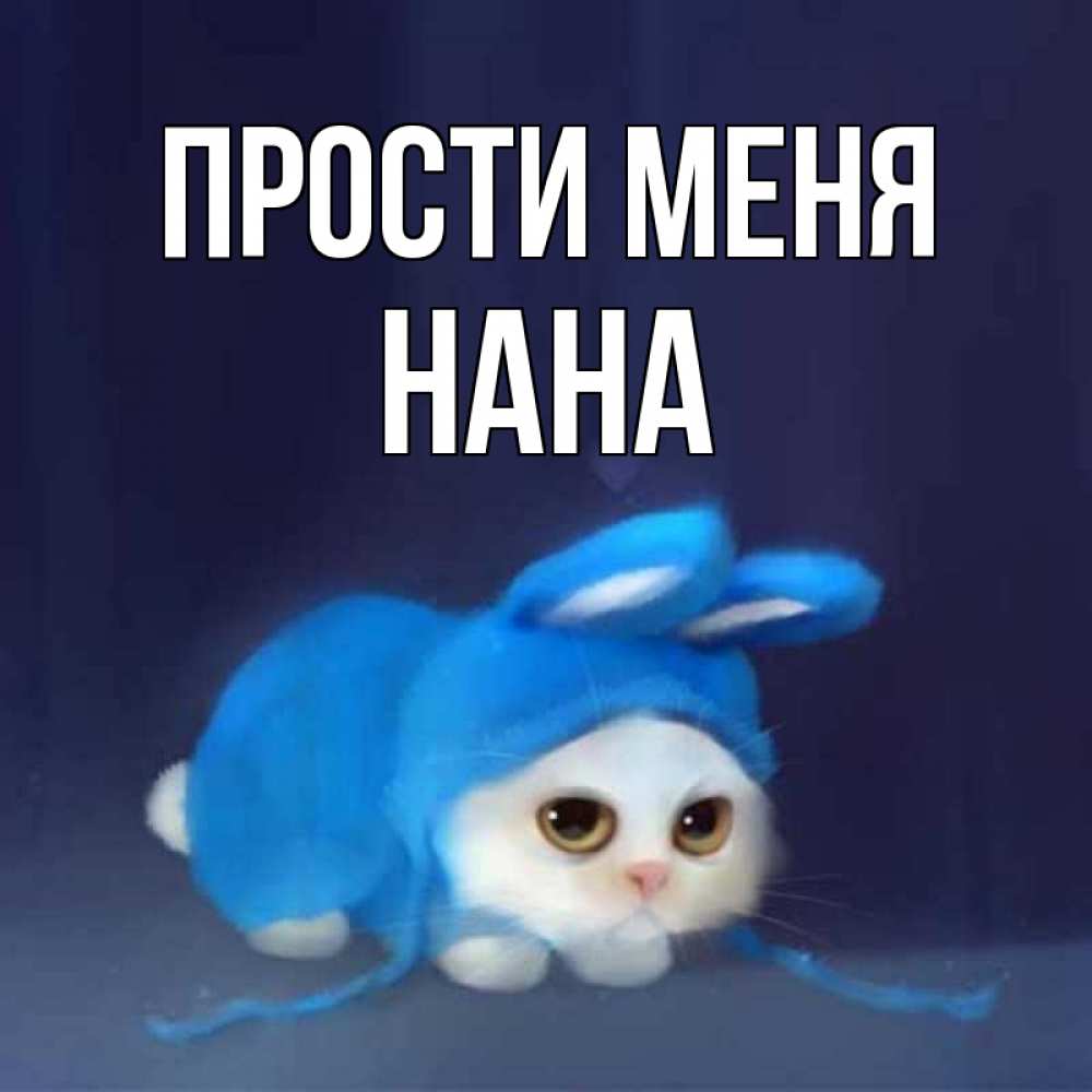 Открытка на каждый день с именем, Нана Прости меня невинный котозай просит прощения Прикольная открытка с пожеланием онлайн скачать бесплатно 
