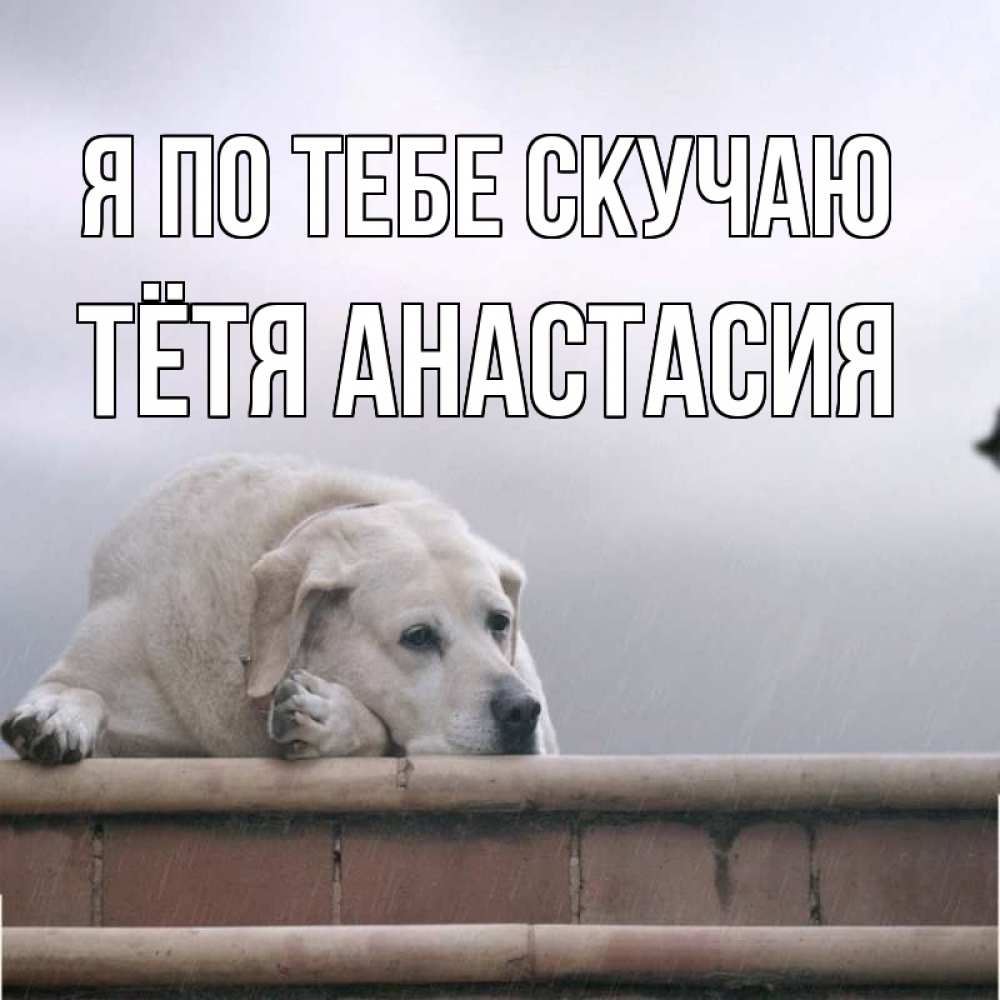 Открытка на каждый день с именем, Тётя-Анастасия Я по тебе скучаю ждет Прикольная открытка с пожеланием онлайн скачать бесплатно 