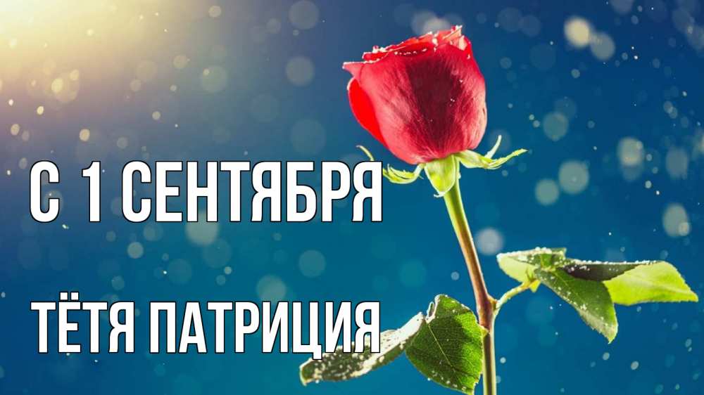 Открытка на каждый день с именем, Тётя-Патриция С 1 сентября с днем знаний Прикольная открытка с пожеланием онлайн скачать бесплатно 