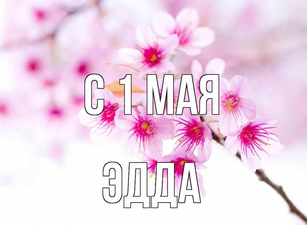 Открытка на каждый день с именем, Эдда С 1 мая С 1 мая 2 Прикольная открытка с пожеланием онлайн скачать бесплатно 