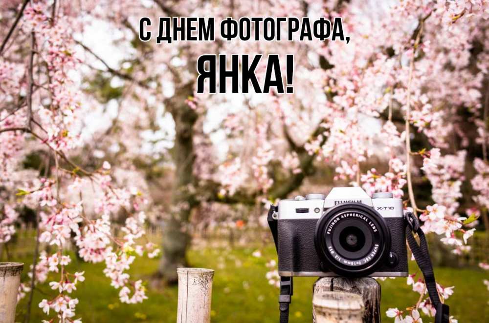 Открытка на каждый день с именем, Янка С днем фотографа сирень с днем фотографа, фотоаппарат Прикольная открытка с пожеланием онлайн скачать бесплатно 