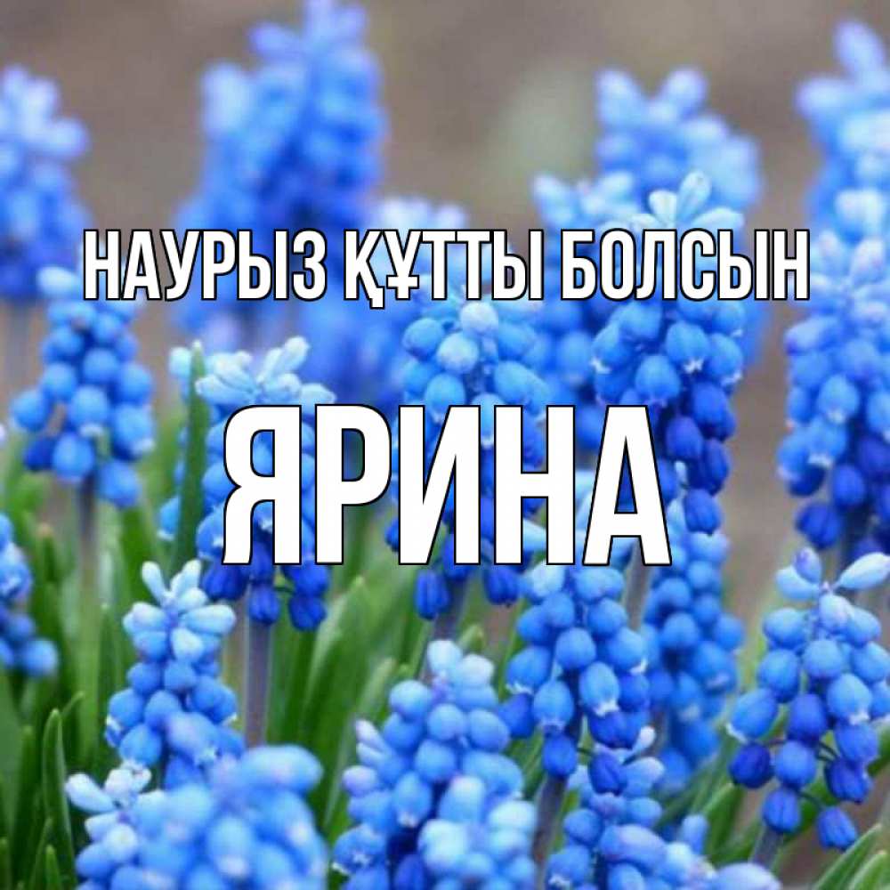 Открытка на каждый день с именем, Ярина Наурыз құтты болсын Поздравительная открытка для женщин с цветами на праздничную дату Прикольная открытка с пожеланием онлайн скачать бесплатно 