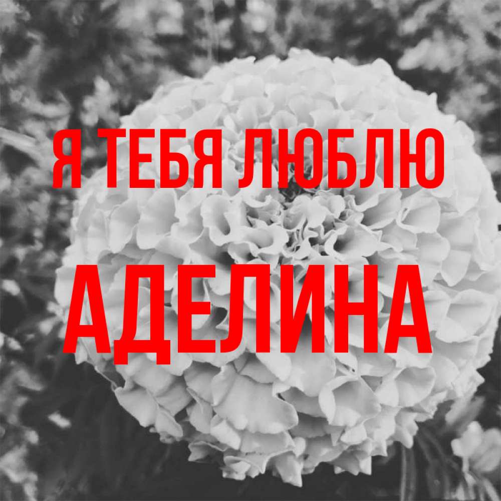 Открытка на каждый день с именем, Аделина Я тебя люблю подпись Прикольная открытка с пожеланием онлайн скачать бесплатно 