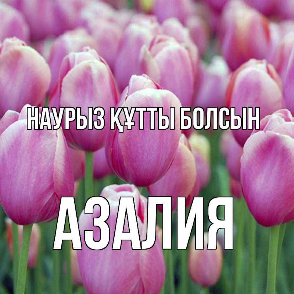 Открытка на каждый день с именем, Азалия Наурыз құтты болсын на наурыз  день 3 Прикольная открытка с пожеланием онлайн скачать бесплатно 