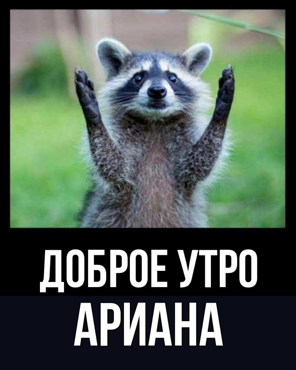 Открытка на каждый день с именем, Ариана Доброе утро хорошее настроение утречком Прикольная открытка с пожеланием онлайн скачать бесплатно 
