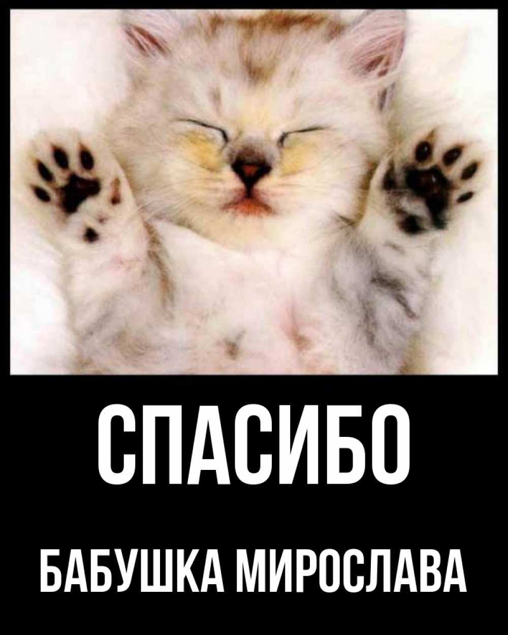 Открытка на каждый день с именем, Бабушка-Мирослава Спасибо маленький котенок Прикольная открытка с пожеланием онлайн скачать бесплатно 