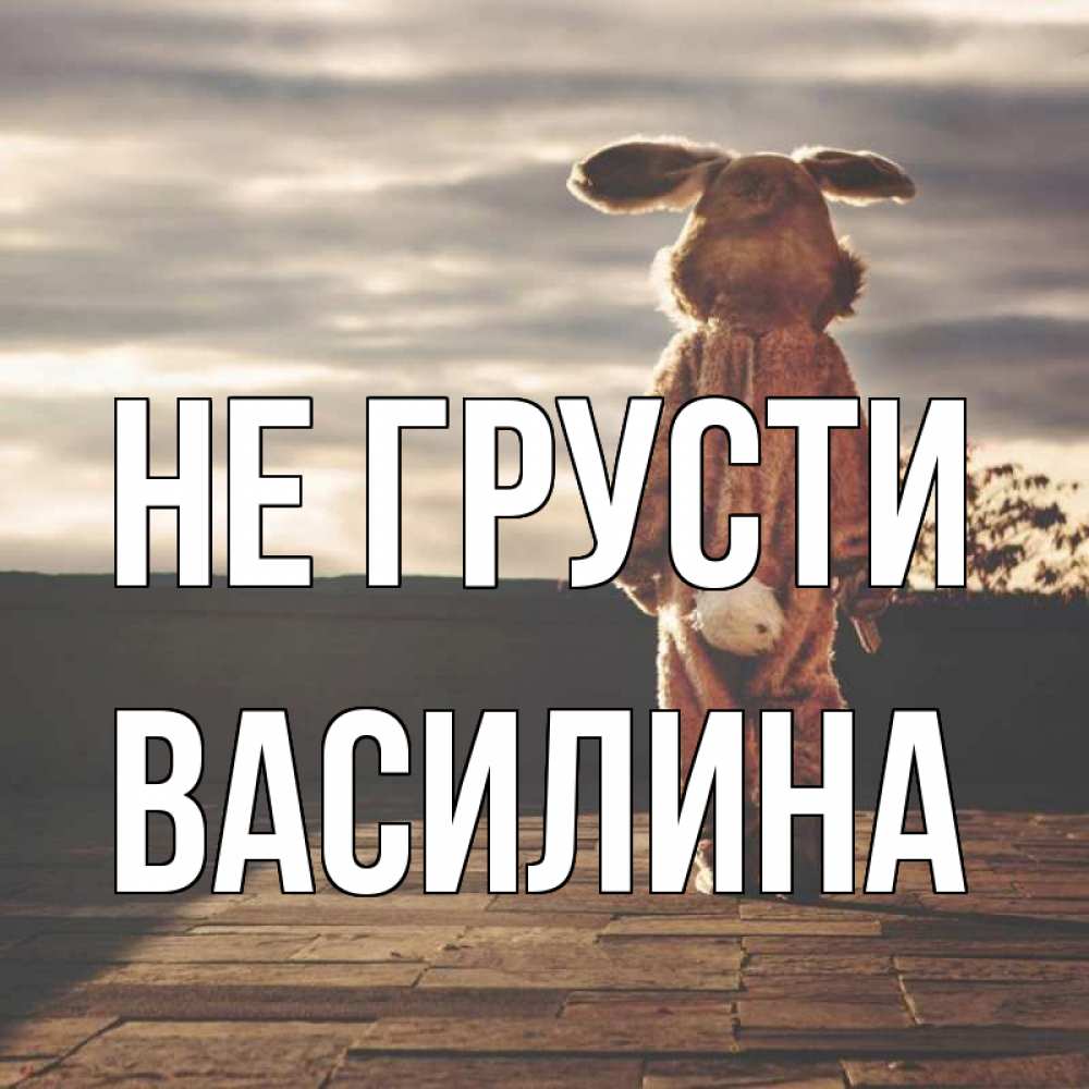 Открытка на каждый день с именем, Василина Не грусти со спины Прикольная открытка с пожеланием онлайн скачать бесплатно 