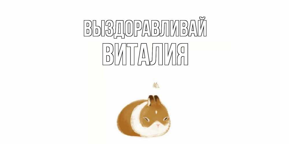 Открытка на каждый день с именем, Виталия Выздоравливай морская свинка на открытке с пожеланиями не болеть Прикольная открытка с пожеланием онлайн скачать бесплатно 