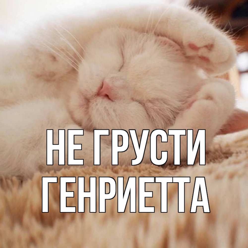 Открытка на каждый день с именем, Генриетта Не грусти белый кот Прикольная открытка с пожеланием онлайн скачать бесплатно 