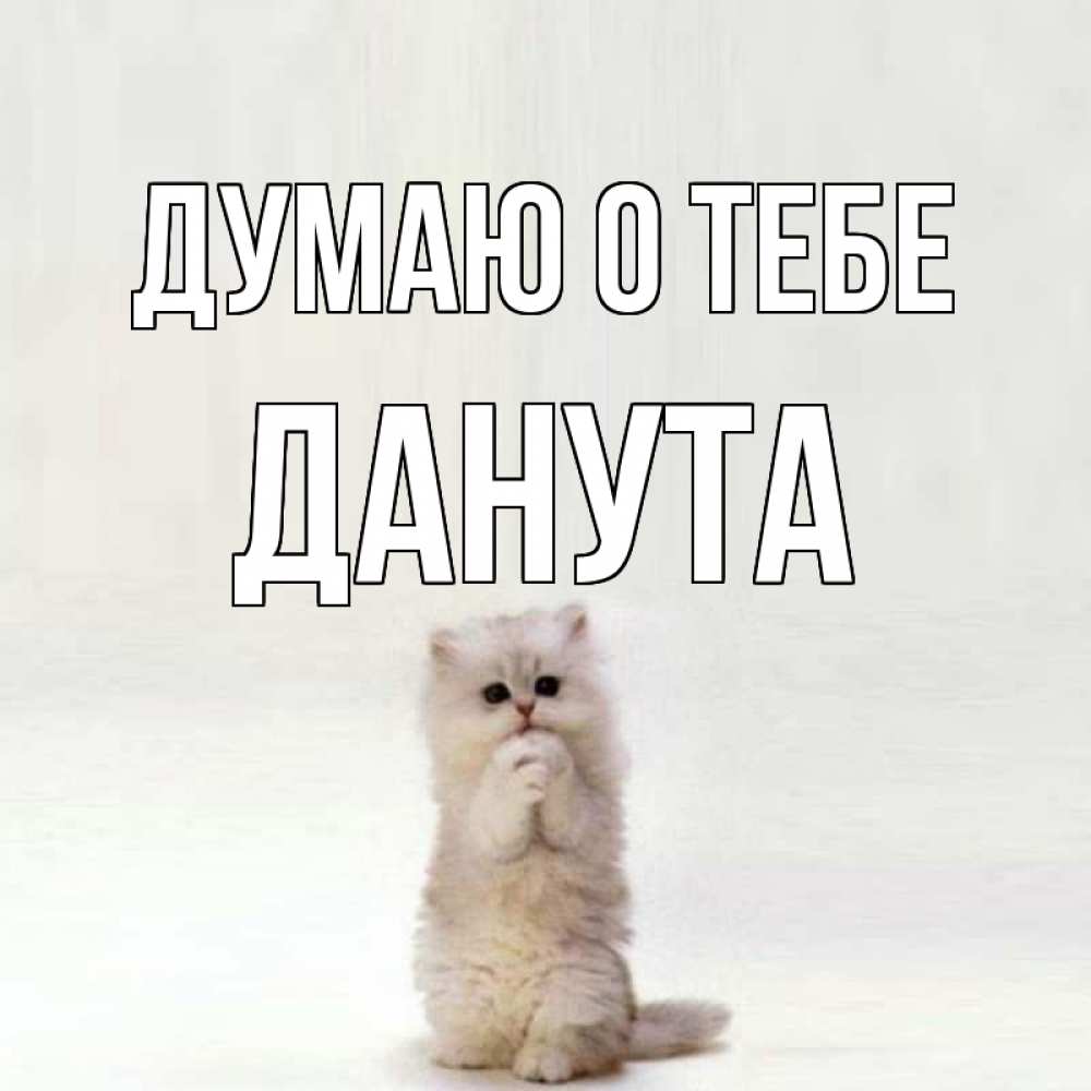 Открытка на каждый день с именем, Данута Думаю о тебе кот стоит на задних лапах Прикольная открытка с пожеланием онлайн скачать бесплатно 