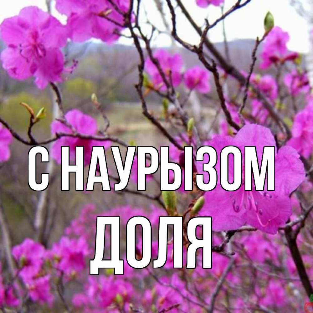 Открытка на каждый день с именем, Доля С наурызом праздник весны наурыз Прикольная открытка с пожеланием онлайн скачать бесплатно 