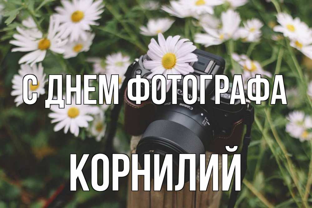 Открытка на каждый день с именем, Корнилий С днем фотографа с днем фотографа Прикольная открытка с пожеланием онлайн скачать бесплатно 