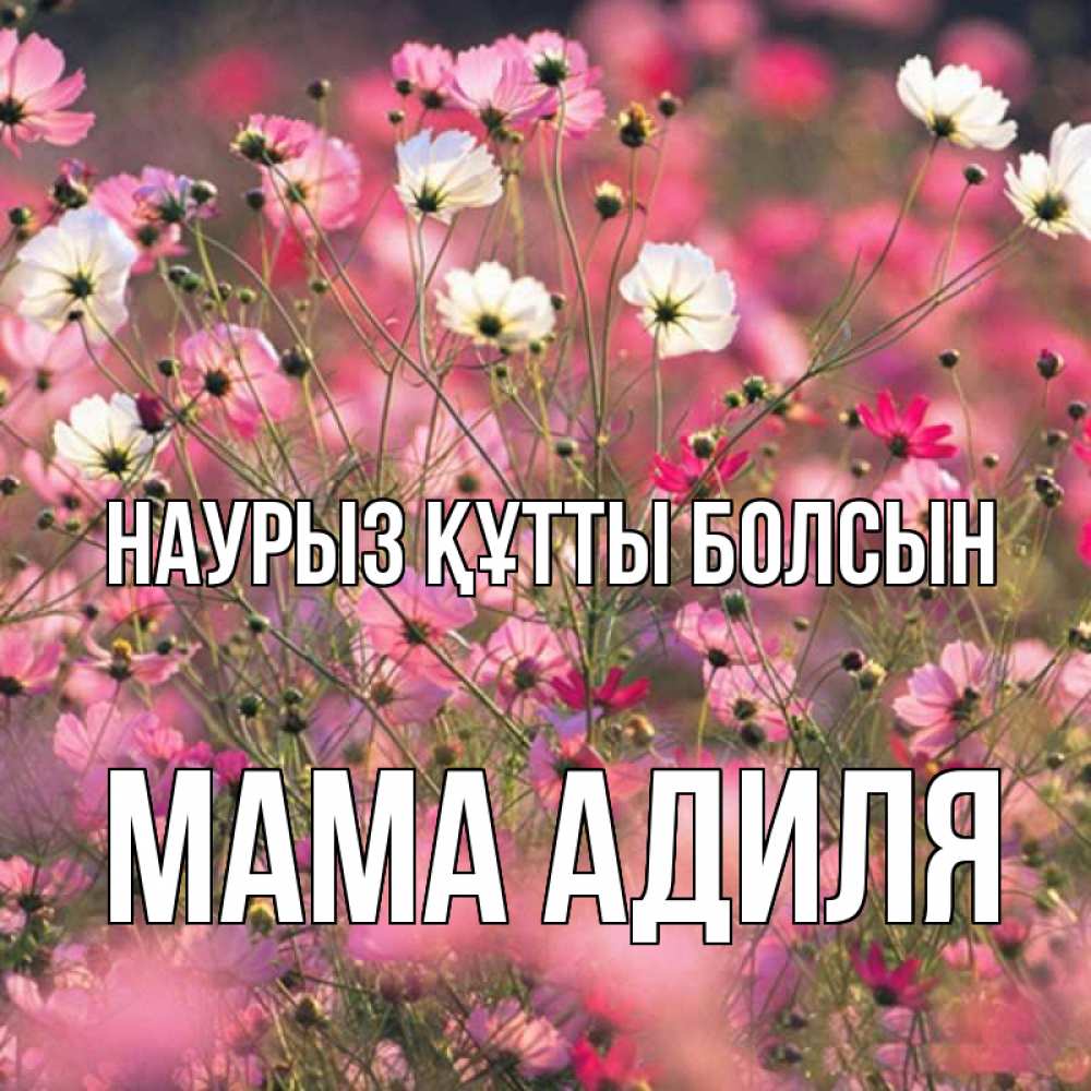Открытка на каждый день с именем, Мама-Адиля Наурыз құтты болсын красиво 1 Прикольная открытка с пожеланием онлайн скачать бесплатно 