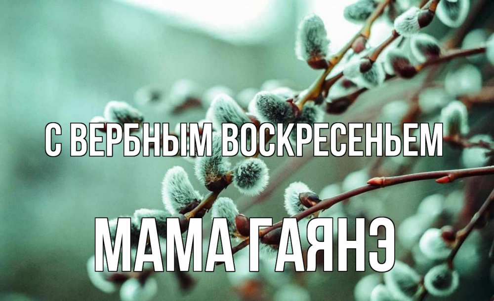 Открытка на каждый день с именем, Мама-Гаянэ С вербным воскресеньем верба Прикольная открытка с пожеланием онлайн скачать бесплатно 