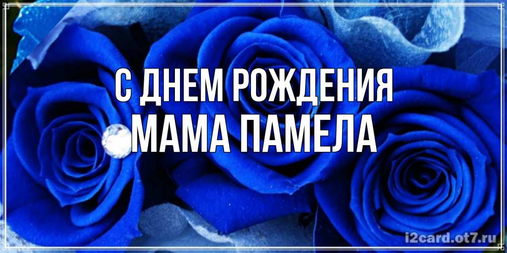 Открытка на каждый день с именем, Мама-Памела С днем рождения синие розы в росе Прикольная открытка с пожеланием онлайн скачать бесплатно 