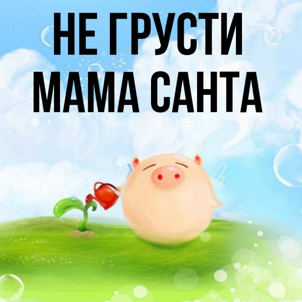 Открытка на каждый день с именем, Мама-Санта Не грусти поливает цветок порося Прикольная открытка с пожеланием онлайн скачать бесплатно 