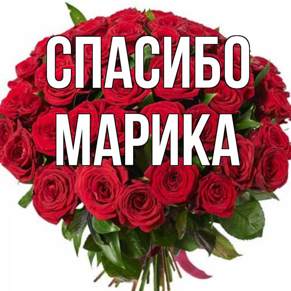 Открытка на каждый день с именем, Марика Спасибо букет красных роз Прикольная открытка с пожеланием онлайн скачать бесплатно 