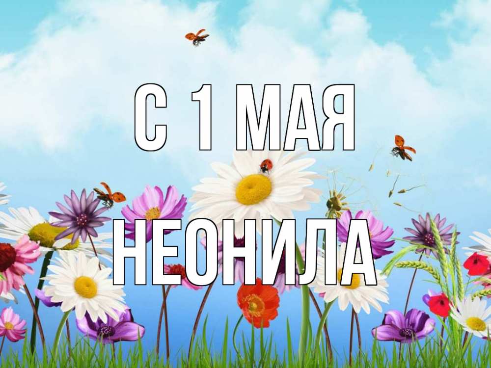 Открытка на каждый день с именем, Неонила С 1 мая С 1 мая Прикольная открытка с пожеланием онлайн скачать бесплатно 