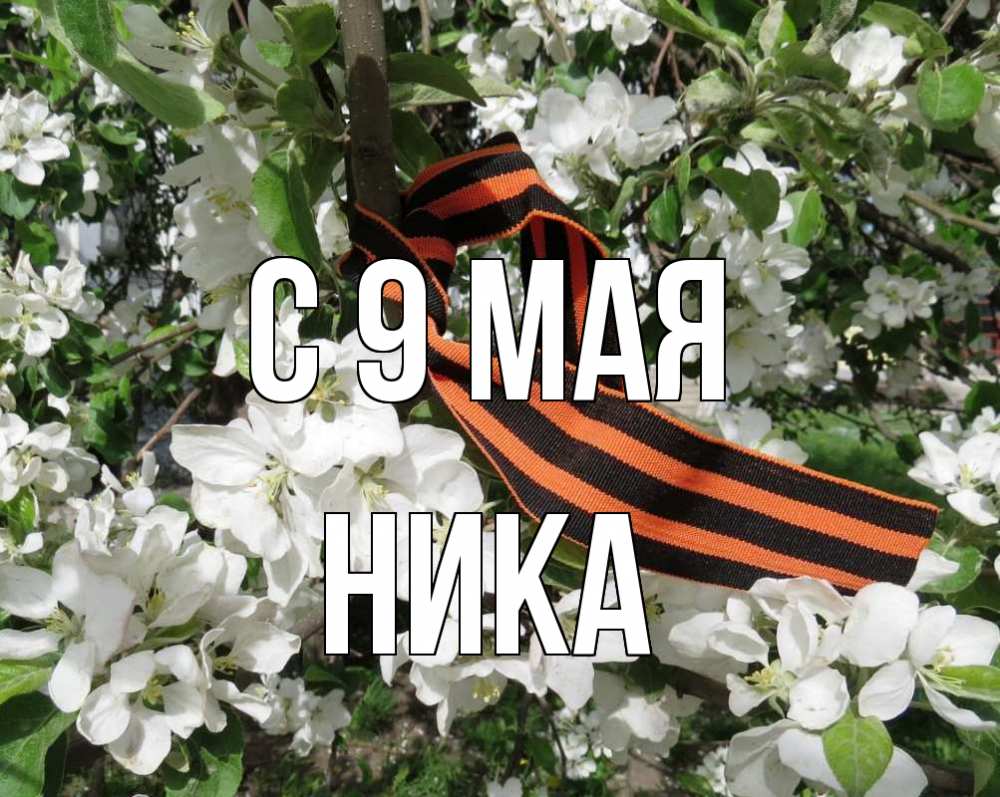 Открытка на каждый день с именем, Ника С 9 мая 9 мая Прикольная открытка с пожеланием онлайн скачать бесплатно 