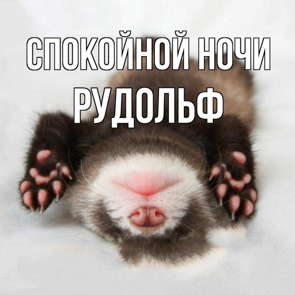 Открытка на каждый день с именем, Рудольф Спокойной ночи зверек Прикольная открытка с пожеланием онлайн скачать бесплатно 