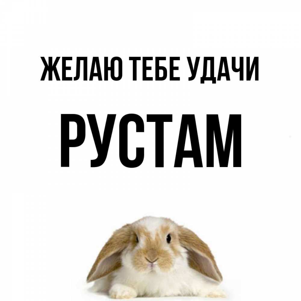Открытка на каждый день с именем, Рустам Желаю тебе удачи открытки с произвольным текстом который можно вставить в открытку и создать ее самостоятельно бесплатно онлайн Прикольная открытка с пожеланием онлайн скачать бесплатно 