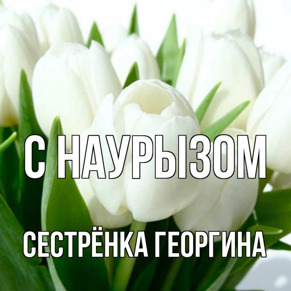 Открытка на каждый день с именем, Сестрёнка-Георгина С наурызом цветы Прикольная открытка с пожеланием онлайн скачать бесплатно 