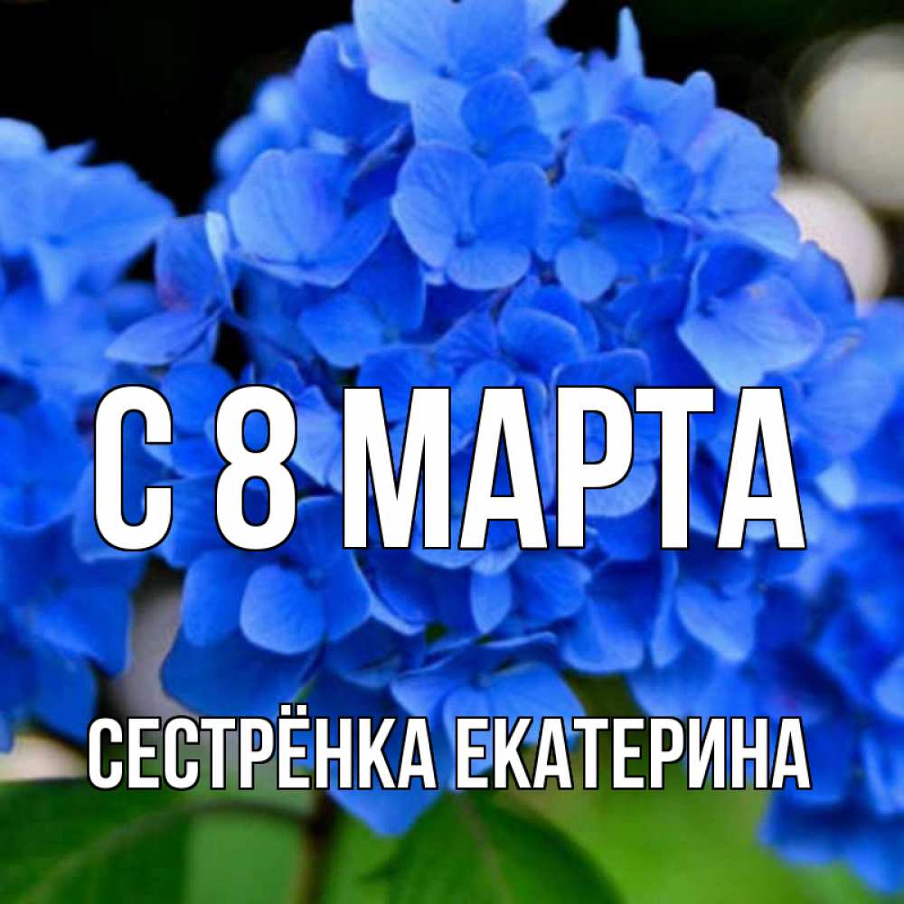 Открытка на каждый день с именем, Сестрёнка-Екатерина С 8 МАРТА синие цветы Прикольная открытка с пожеланием онлайн скачать бесплатно 