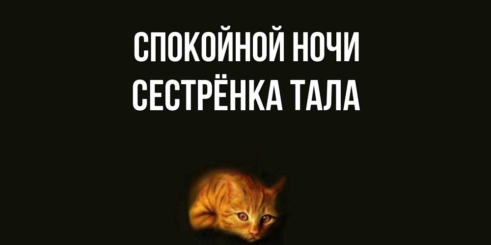 Открытка на каждый день с именем, Сестрёнка-Тала Спокойной ночи кот Прикольная открытка с пожеланием онлайн скачать бесплатно 