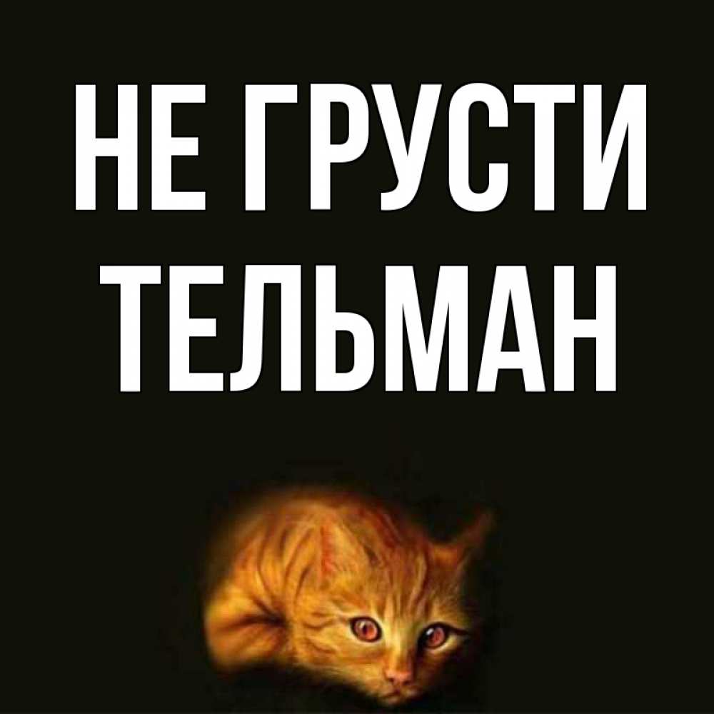 Открытка на каждый день с именем, Тельман Не грусти лежащий кот в темноте Прикольная открытка с пожеланием онлайн скачать бесплатно 