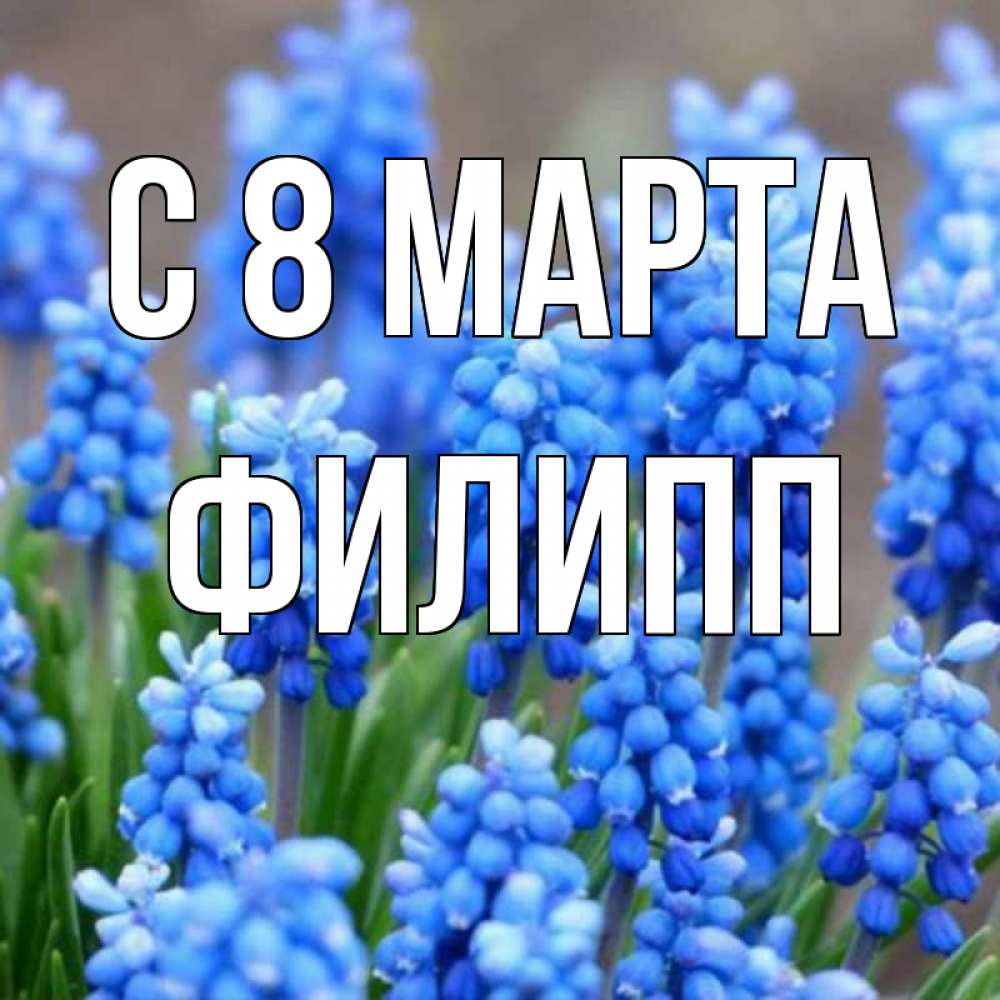 Открытка на каждый день с именем, Филипп С 8 МАРТА Поздравительная открытка для женщин с цветами на праздничную дату Прикольная открытка с пожеланием онлайн скачать бесплатно 
