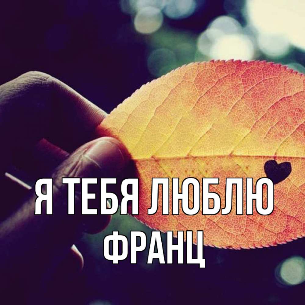 Открытка на каждый день с именем, Франц Я тебя люблю держу лист Прикольная открытка с пожеланием онлайн скачать бесплатно 