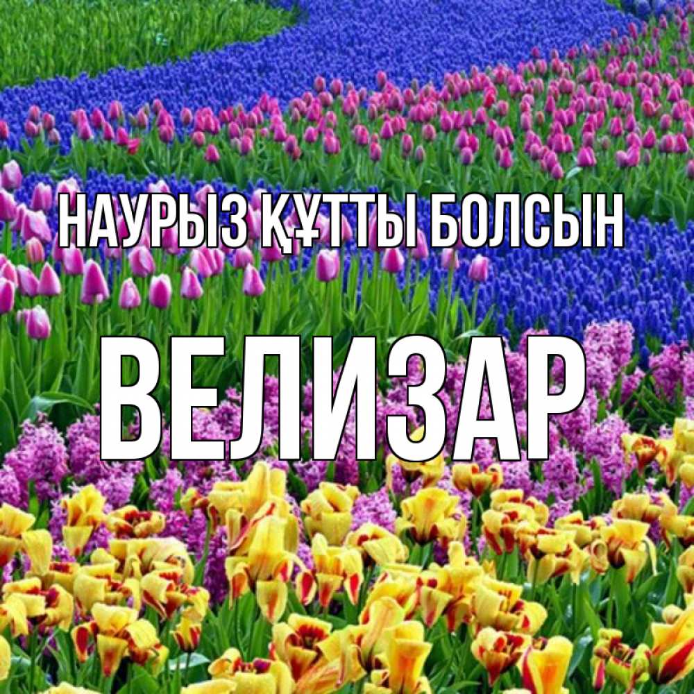 Открытка на каждый день с именем, Велизар Наурыз құтты болсын цветы Прикольная открытка с пожеланием онлайн скачать бесплатно 