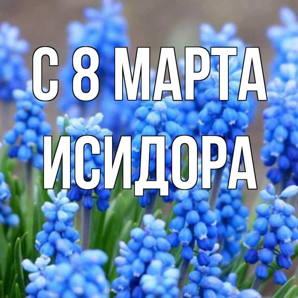Открытка на каждый день с именем, Исидора С 8 МАРТА Поздравительная открытка для женщин с цветами на праздничную дату Прикольная открытка с пожеланием онлайн скачать бесплатно 