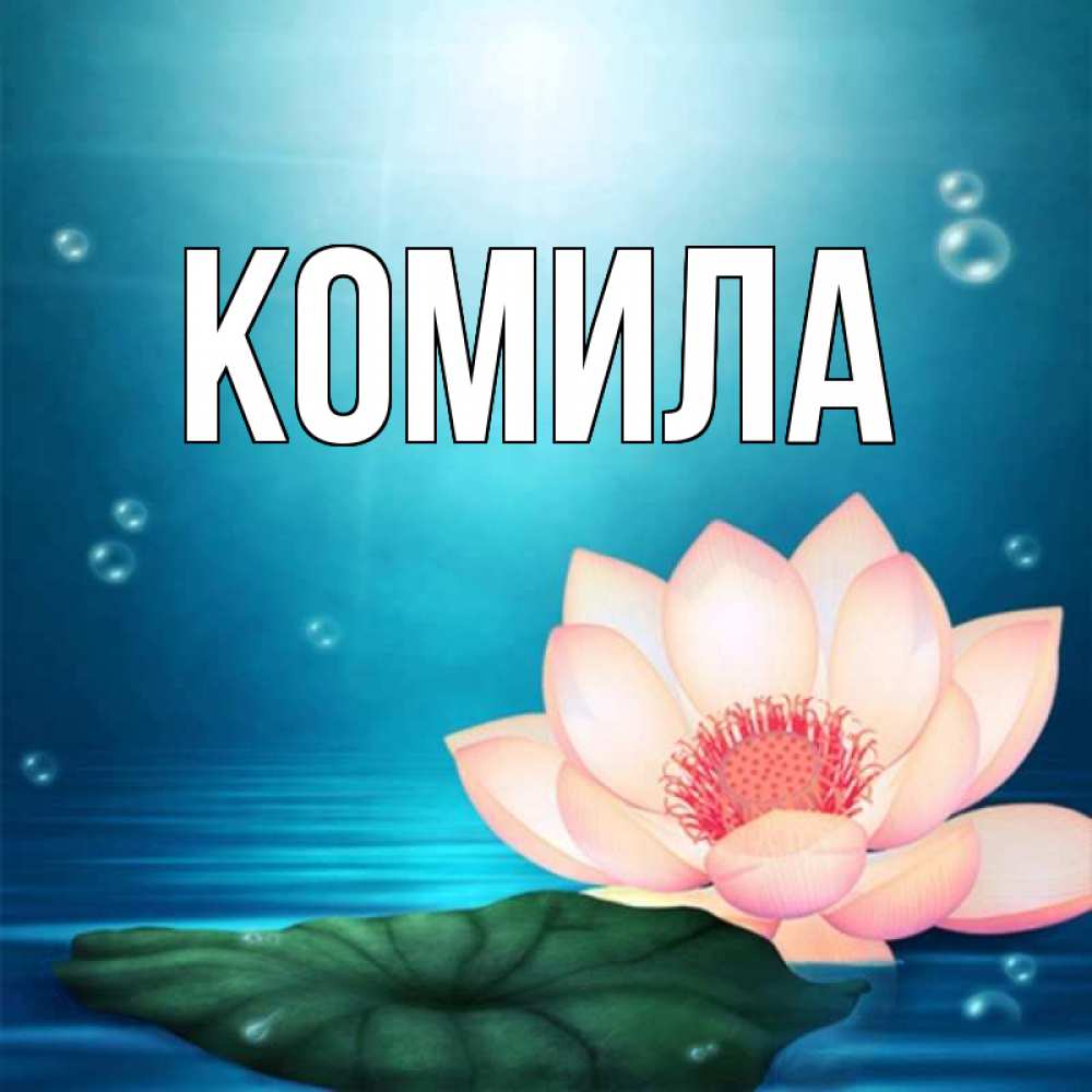 Открытка на каждый день с именем, Комила Главная кувшинка Прикольная открытка с пожеланием онлайн скачать бесплатно 