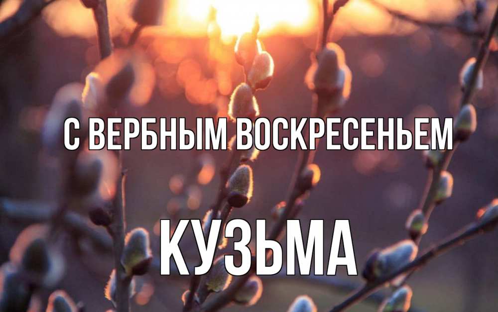 Открытка на каждый день с именем, Кузьма С вербным воскресеньем верба Прикольная открытка с пожеланием онлайн скачать бесплатно 