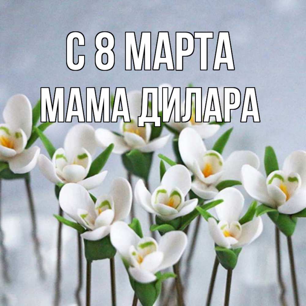 Открытка на каждый день с именем, Мама-Дилара С 8 марта весенние цветы Прикольная открытка с пожеланием онлайн скачать бесплатно 