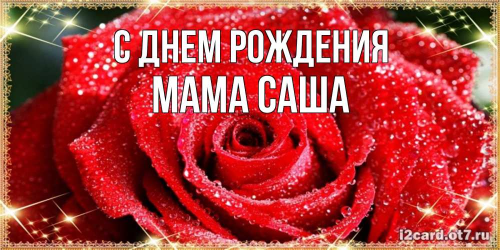 Открытка на каждый день с именем, Мама-Саша С днем рождения роса и роза. открытка с красивой розой Прикольная открытка с пожеланием онлайн скачать бесплатно 