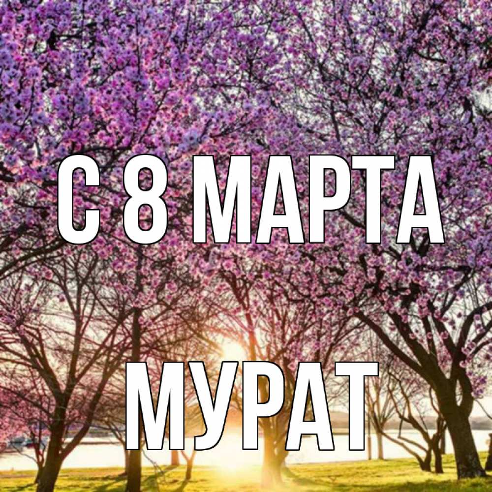 Открытка на каждый день с именем, Мурат С 8 МАРТА международный женский день Прикольная открытка с пожеланием онлайн скачать бесплатно 