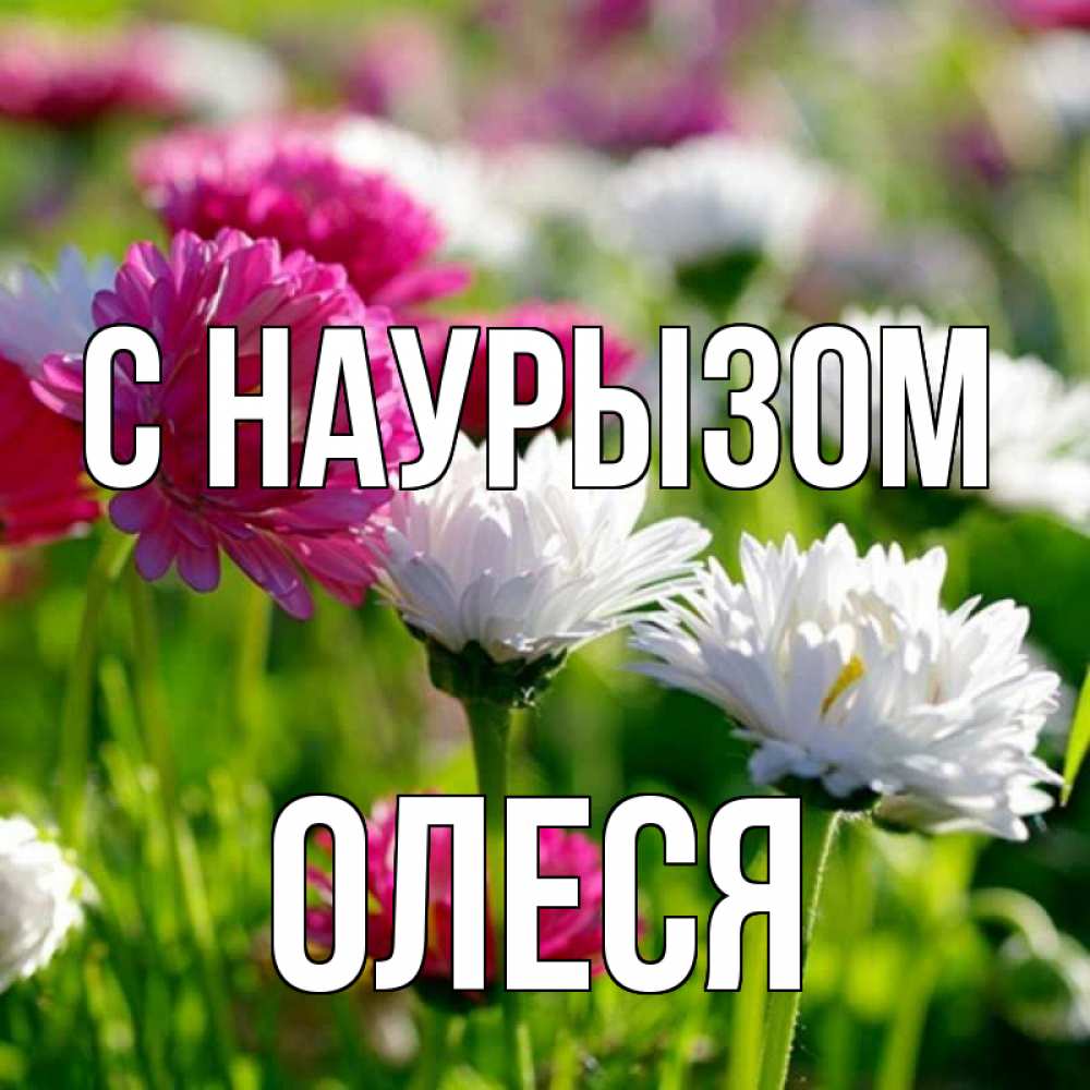 Открытка на каждый день с именем, Олеся С наурызом праздник весны наурыз красота Прикольная открытка с пожеланием онлайн скачать бесплатно 