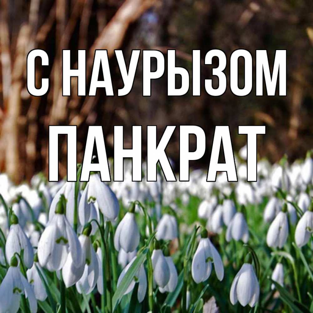 Открытка на каждый день с именем, Панкрат С наурызом с подснежниками 1 Прикольная открытка с пожеланием онлайн скачать бесплатно 