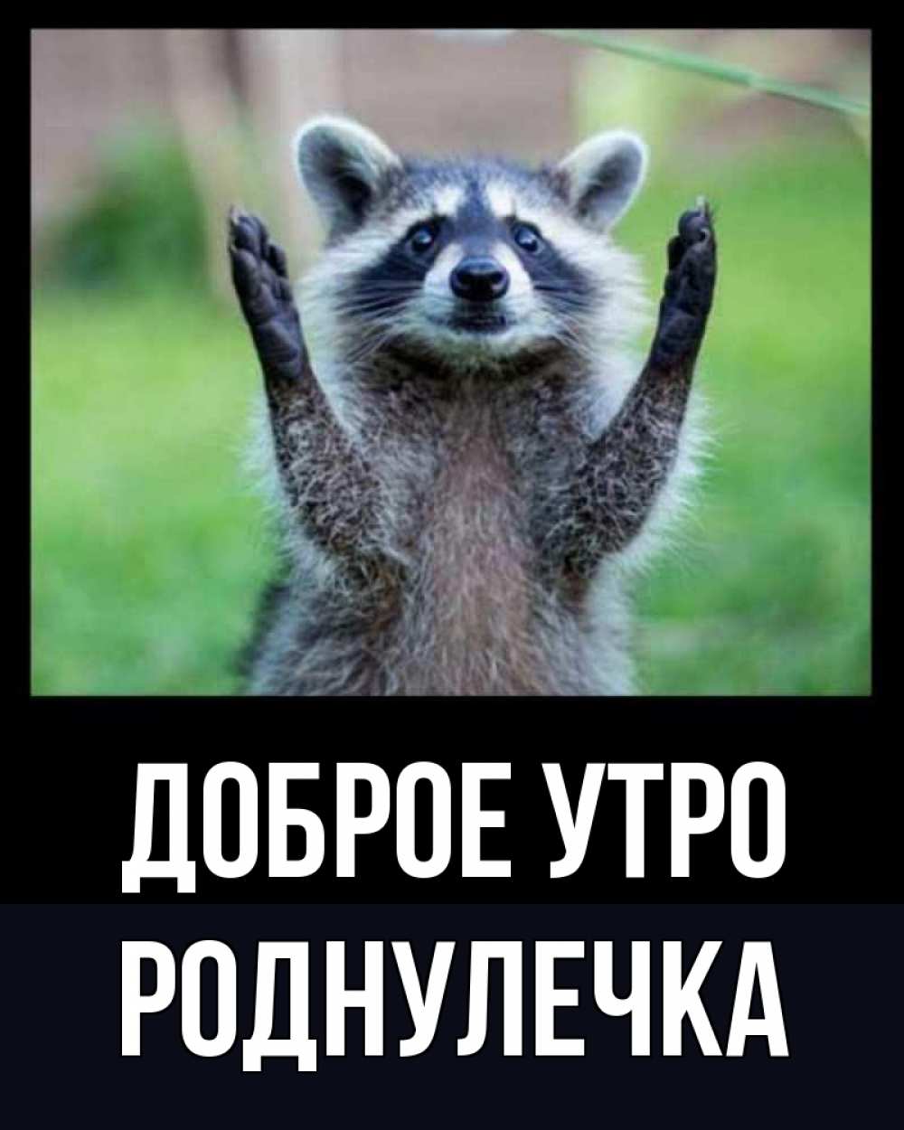 Открытка на каждый день с именем, Роднулечка Доброе утро хорошее настроение утречком Прикольная открытка с пожеланием онлайн скачать бесплатно 