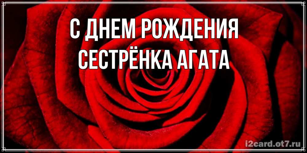 Открытка на каждый день с именем, Сестрёнка-Агата С днем рождения алая роза Прикольная открытка с пожеланием онлайн скачать бесплатно 