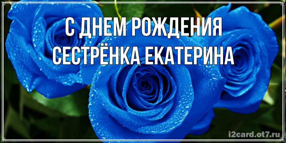 Открытка на каждый день с именем, Сестрёнка-Екатерина С днем рождения розы с синим цветом Прикольная открытка с пожеланием онлайн скачать бесплатно 