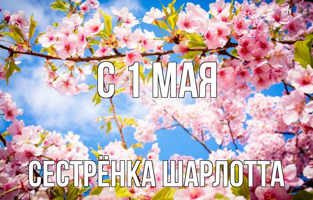 Открытка на каждый день с именем, Сестрёнка-Шарлотта С 1 мая С 1 мая Прикольная открытка с пожеланием онлайн скачать бесплатно 
