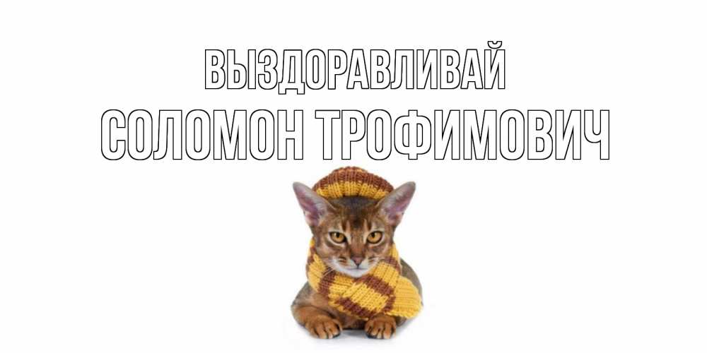 Открытка с именем, Соломон Трофимович, Выздоравливай