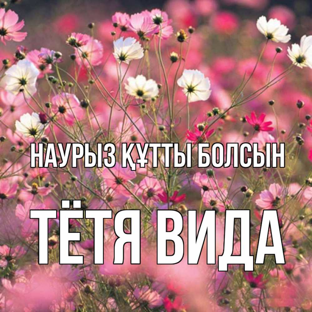 Открытка на каждый день с именем, Тётя-Вида Наурыз құтты болсын красиво 1 Прикольная открытка с пожеланием онлайн скачать бесплатно 