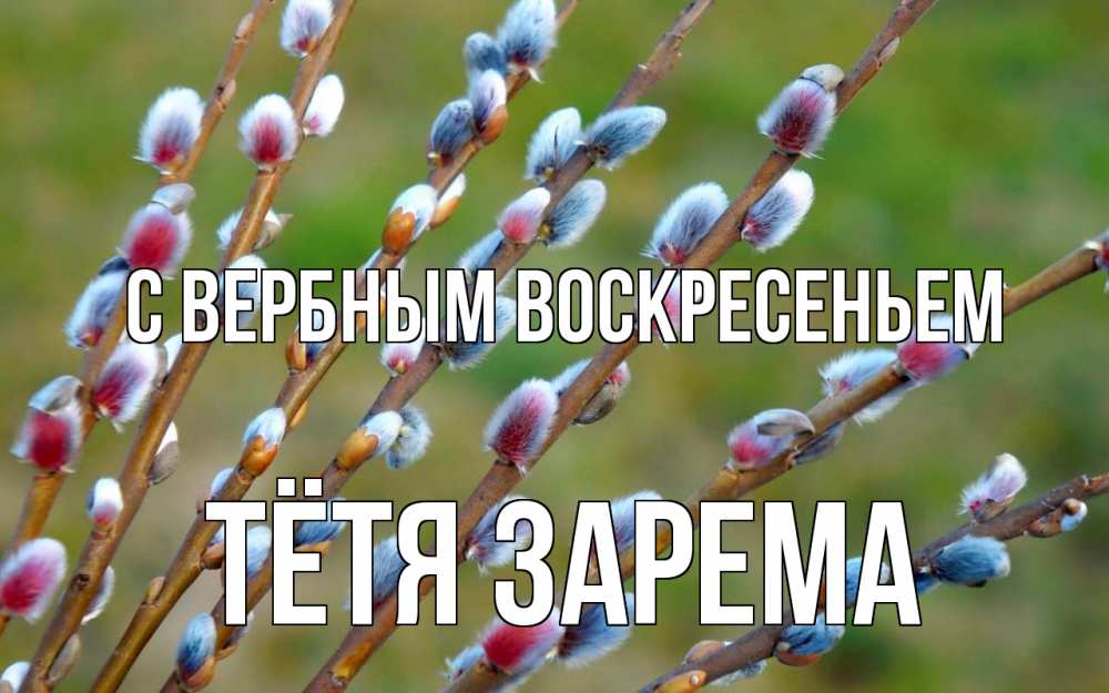 Открытка на каждый день с именем, Тётя-Зарема С вербным воскресеньем верба Прикольная открытка с пожеланием онлайн скачать бесплатно 