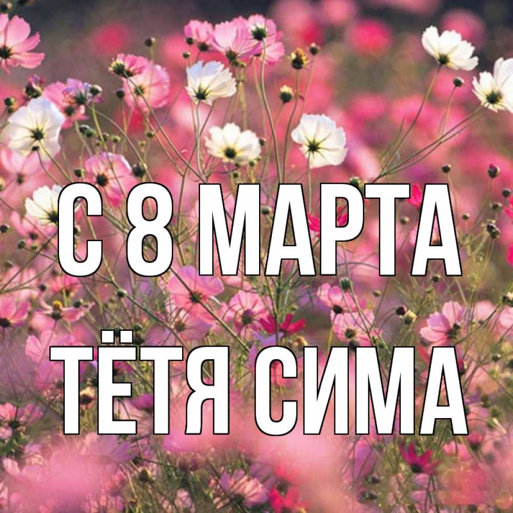 Открытка на каждый день с именем, Тётя-Сима С 8 марта красиво 1 Прикольная открытка с пожеланием онлайн скачать бесплатно 