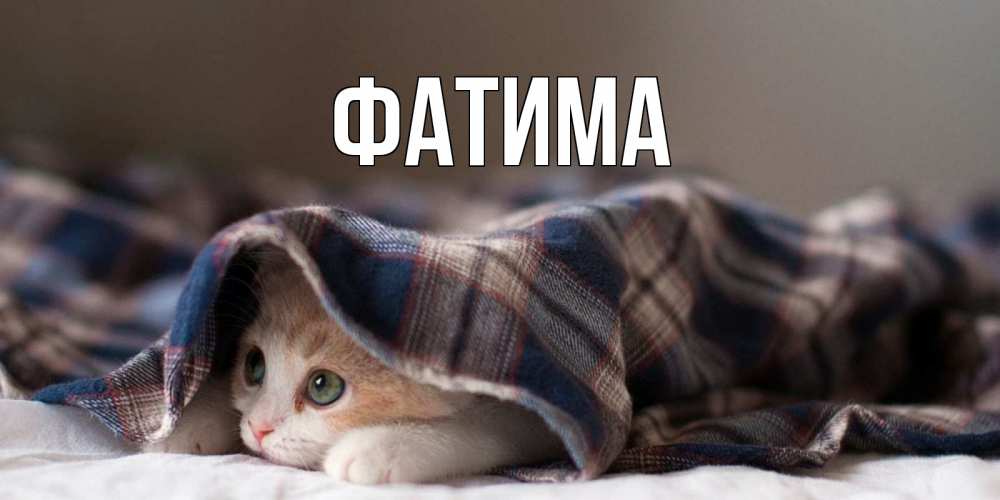 Открытка на каждый день с именем, Фатима Главная не болейте с котиком Прикольная открытка с пожеланием онлайн скачать бесплатно 