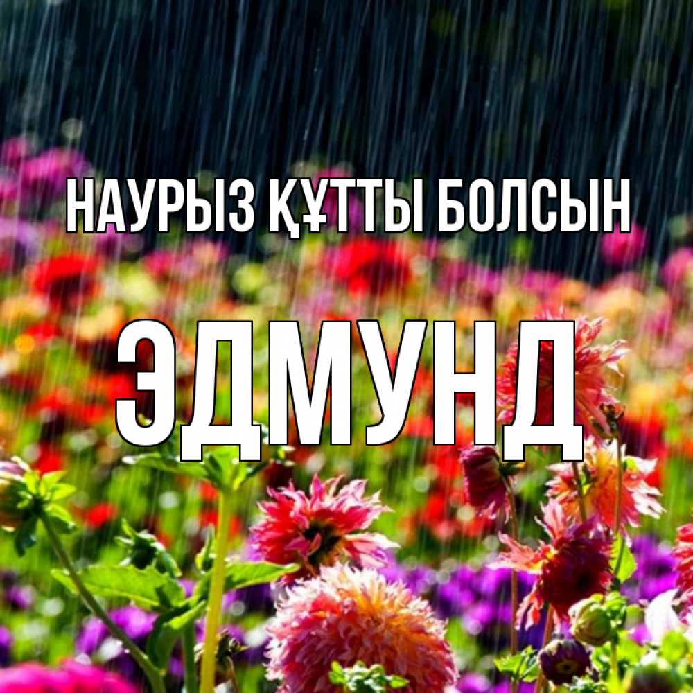 Открытка на каждый день с именем, Эдмунд Наурыз құтты болсын цветы под дождиком к наурызу Прикольная открытка с пожеланием онлайн скачать бесплатно 